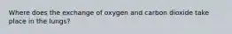 Where does the exchange of oxygen and carbon dioxide take place in the lungs?