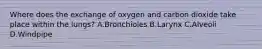 Where does the exchange of oxygen and carbon dioxide take place within the lungs? A.Bronchioles B.Larynx C.Alveoli D.Windpipe