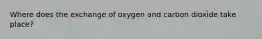 Where does the exchange of oxygen and carbon dioxide take​ place?