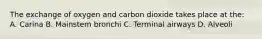 The exchange of oxygen and carbon dioxide takes place at the: A. Carina B. Mainstem bronchi C. Terminal airways D. Alveoli