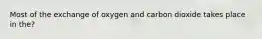 Most of the exchange of oxygen and carbon dioxide takes place in the?