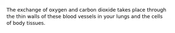 The exchange of oxygen and carbon dioxide takes place through the thin walls of these <a href='https://www.questionai.com/knowledge/kZJ3mNKN7P-blood-vessels' class='anchor-knowledge'>blood vessels</a> in your lungs and the cells of body tissues.