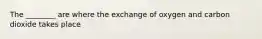 The ________ are where the exchange of oxygen and carbon dioxide takes place