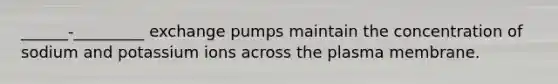 ______-_________ exchange pumps maintain the concentration of sodium and potassium ions across the plasma membrane.