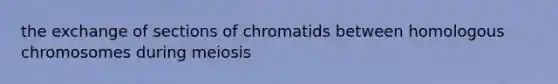 the exchange of sections of chromatids between homologous chromosomes during meiosis