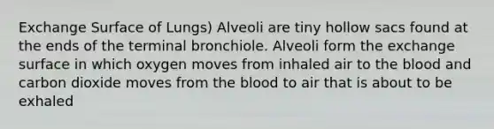 Exchange Surface of Lungs) Alveoli are tiny hollow sacs found at the ends of the terminal bronchiole. Alveoli form the exchange surface in which oxygen moves from inhaled air to the blood and carbon dioxide moves from the blood to air that is about to be exhaled