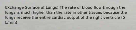 Exchange Surface of Lungs) The rate of blood flow through the lungs is much higher than the rate in other tissues because the lungs receive the entire cardiac output of the right ventricle (5 L/min)