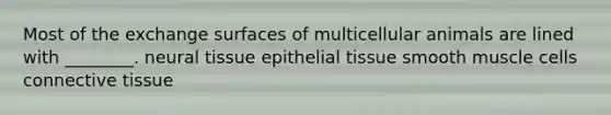 Most of the exchange surfaces of multicellular animals are lined with ________. neural tissue epithelial tissue smooth muscle cells connective tissue