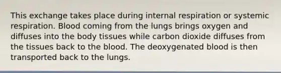 This exchange takes place during internal respiration or systemic respiration. Blood coming from the lungs brings oxygen and diffuses into the body tissues while carbon dioxide diffuses from the tissues back to <a href='https://www.questionai.com/knowledge/k7oXMfj7lk-the-blood' class='anchor-knowledge'>the blood</a>. The deoxygenated blood is then transported back to the lungs.