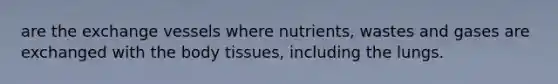 are the exchange vessels where nutrients, wastes and gases are exchanged with the body tissues, including the lungs.