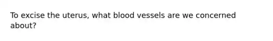 To excise the uterus, what blood vessels are we concerned about?