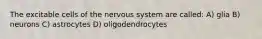 The excitable cells of the nervous system are called: A) glia B) neurons C) astrocytes D) oligodendrocytes