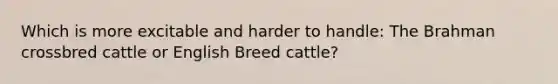 Which is more excitable and harder to handle: The Brahman crossbred cattle or English Breed cattle?