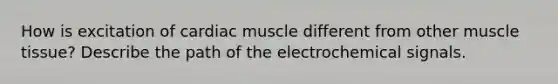 How is excitation of cardiac muscle different from other muscle tissue? Describe the path of the electrochemical signals.