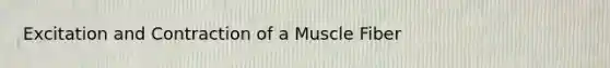 Excitation and Contraction of a Muscle Fiber