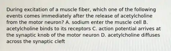 During excitation of a muscle fiber, which one of the following events comes immediately after the release of acetylcholine from the motor neuron? A. sodium enter the muscle cell B. acetylcholine binds to its receptors C. action potential arrives at the synaptic knob of the motor neuron D. acetylcholine diffuses across the synaptic cleft