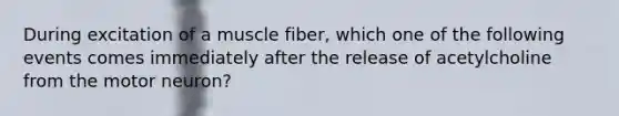 During excitation of a muscle fiber, which one of the following events comes immediately after the release of acetylcholine from the motor neuron?