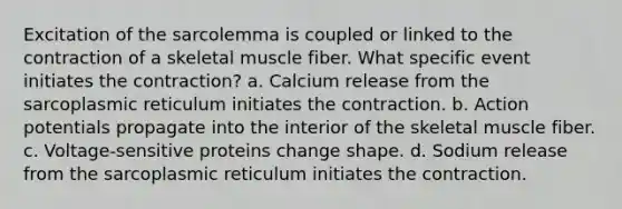 Excitation of the sarcolemma is coupled or linked to the contraction of a skeletal muscle fiber. What specific event initiates the contraction? a. Calcium release from the sarcoplasmic reticulum initiates the contraction. b. Action potentials propagate into the interior of the skeletal muscle fiber. c. Voltage-sensitive proteins change shape. d. Sodium release from the sarcoplasmic reticulum initiates the contraction.