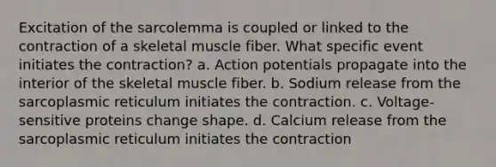 Excitation of the sarcolemma is coupled or linked to the contraction of a skeletal muscle fiber. What specific event initiates the contraction? a. Action potentials propagate into the interior of the skeletal muscle fiber. b. Sodium release from the sarcoplasmic reticulum initiates the contraction. c. Voltage-sensitive proteins change shape. d. Calcium release from the sarcoplasmic reticulum initiates the contraction