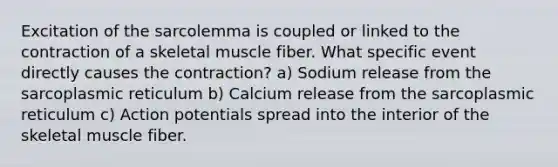 Excitation of the sarcolemma is coupled or linked to the contraction of a skeletal muscle fiber. What specific event directly causes the contraction? a) Sodium release from the sarcoplasmic reticulum b) Calcium release from the sarcoplasmic reticulum c) Action potentials spread into the interior of the skeletal muscle fiber.