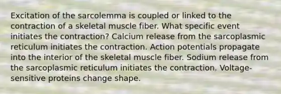 Excitation of the sarcolemma is coupled or linked to the contraction of a <a href='https://www.questionai.com/knowledge/klixZejDS2-skeletal-muscle' class='anchor-knowledge'>skeletal muscle</a> fiber. What specific event initiates the contraction? Calcium release from the sarcoplasmic reticulum initiates the contraction. Action potentials propagate into the interior of the skeletal muscle fiber. Sodium release from the sarcoplasmic reticulum initiates the contraction. Voltage-sensitive proteins change shape.