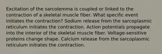 Excitation of the sarcolemma is coupled or linked to the contraction of a skeletal muscle fiber. What specific event initiates the contraction? Sodium release from the sarcoplasmic reticulum initiates the contraction. Action potentials propagate into the interior of the skeletal muscle fiber. Voltage-sensitive proteins change shape. Calcium release from the sarcoplasmic reticulum initiates the contraction.