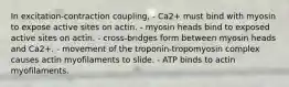 In excitation-contraction coupling, - Ca2+ must bind with myosin to expose active sites on actin. - myosin heads bind to exposed active sites on actin. - cross-bridges form between myosin heads and Ca2+. - movement of the troponin-tropomyosin complex causes actin myofilaments to slide. - ATP binds to actin myofilaments.