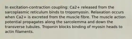 In excitation-contraction coupling: Ca2+ released from the sarcoplasmic reticulum binds to tropomyosin. Relaxation occurs when Ca2+ is excreted from the muscle fibre. The muscle action potential propagates along the sarcolemma and down the transverse tubules. Troponin blocks binding of myosin heads to actin filaments.