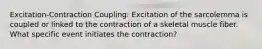 Excitation-Contraction Coupling: Excitation of the sarcolemma is coupled or linked to the contraction of a skeletal muscle fiber. What specific event initiates the contraction?