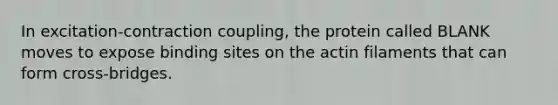 In excitation-contraction coupling, the protein called BLANK moves to expose binding sites on the actin filaments that can form cross-bridges.