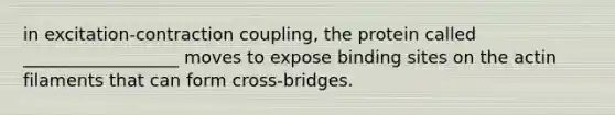 in excitation-contraction coupling, the protein called __________________ moves to expose binding sites on the actin filaments that can form cross-bridges.