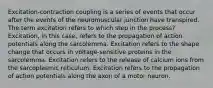 Excitation-contraction coupling is a series of events that occur after the events of the neuromuscular junction have transpired. The term excitation refers to which step in the process? Excitation, in this case, refers to the propagation of action potentials along the sarcolemma. Excitation refers to the shape change that occurs in voltage-sensitive proteins in the sarcolemma. Excitation refers to the release of calcium ions from the sarcoplasmic reticulum. Excitation refers to the propagation of action potentials along the axon of a motor neuron.