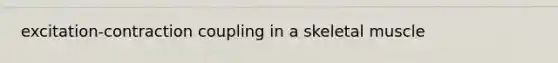 excitation-contraction coupling in a skeletal muscle