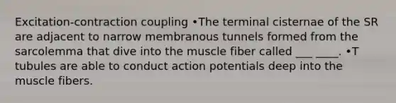 Excitation-contraction coupling •The terminal cisternae of the SR are adjacent to narrow membranous tunnels formed from the sarcolemma that dive into the muscle fiber called ___ ____. •T tubules are able to conduct action potentials deep into the muscle fibers.