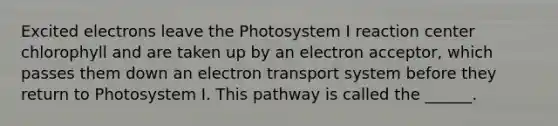 Excited electrons leave the Photosystem I reaction center chlorophyll and are taken up by an electron acceptor, which passes them down an electron transport system before they return to Photosystem I. This pathway is called the ______.