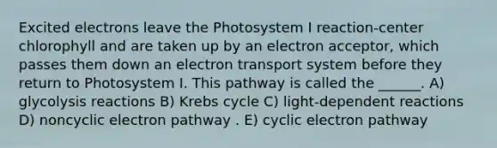 Excited electrons leave the Photosystem I reaction-center chlorophyll and are taken up by an electron acceptor, which passes them down an electron transport system before they return to Photosystem I. This pathway is called the ______. A) glycolysis reactions B) Krebs cycle C) light-dependent reactions D) noncyclic electron pathway . E) cyclic electron pathway