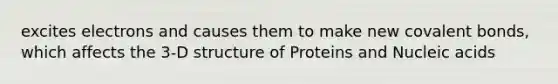 excites electrons and causes them to make new covalent bonds, which affects the 3-D structure of Proteins and Nucleic acids