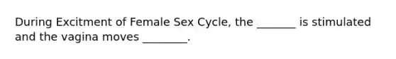 During Excitment of Female Sex Cycle, the _______ is stimulated and the vagina moves ________.