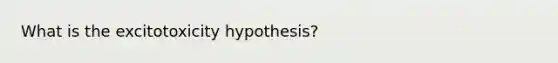 What is the excitotoxicity hypothesis?