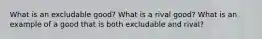 What is an excludable good? What is a rival good? What is an example of a good that is both excludable and rival?