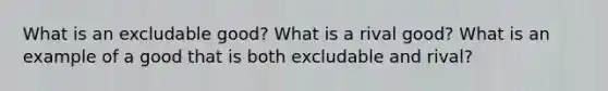 What is an excludable good? What is a rival good? What is an example of a good that is both excludable and rival?