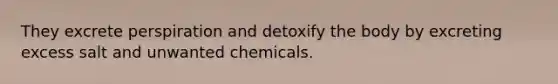 They excrete perspiration and detoxify the body by excreting excess salt and unwanted chemicals.