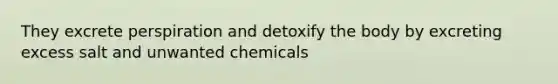 They excrete perspiration and detoxify the body by excreting excess salt and unwanted chemicals