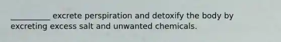 __________ excrete perspiration and detoxify the body by excreting excess salt and unwanted chemicals.