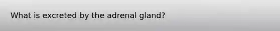 What is excreted by the adrenal gland?