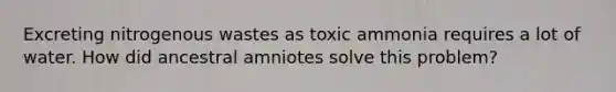 Excreting nitrogenous wastes as toxic ammonia requires a lot of water. How did ancestral amniotes solve this problem?