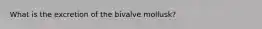 What is the excretion of the bivalve mollusk?