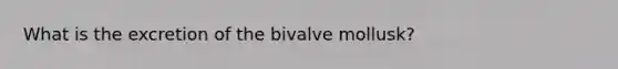 What is the excretion of the bivalve mollusk?