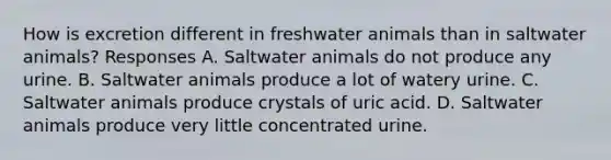 How is excretion different in freshwater animals than in saltwater animals? Responses A. Saltwater animals do not produce any urine. B. Saltwater animals produce a lot of watery urine. C. Saltwater animals produce crystals of uric acid. D. Saltwater animals produce very little concentrated urine.