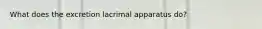 What does the excretion lacrimal apparatus do?